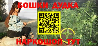 каннабис Камышлов