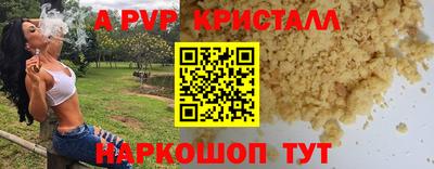 стафф Кандалакша