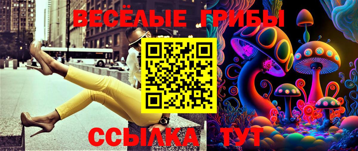 Галлюциногенные грибы GOLDEN TEACHER  Вход с VPN  Чебаркуль 